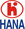 Форсунки HANA